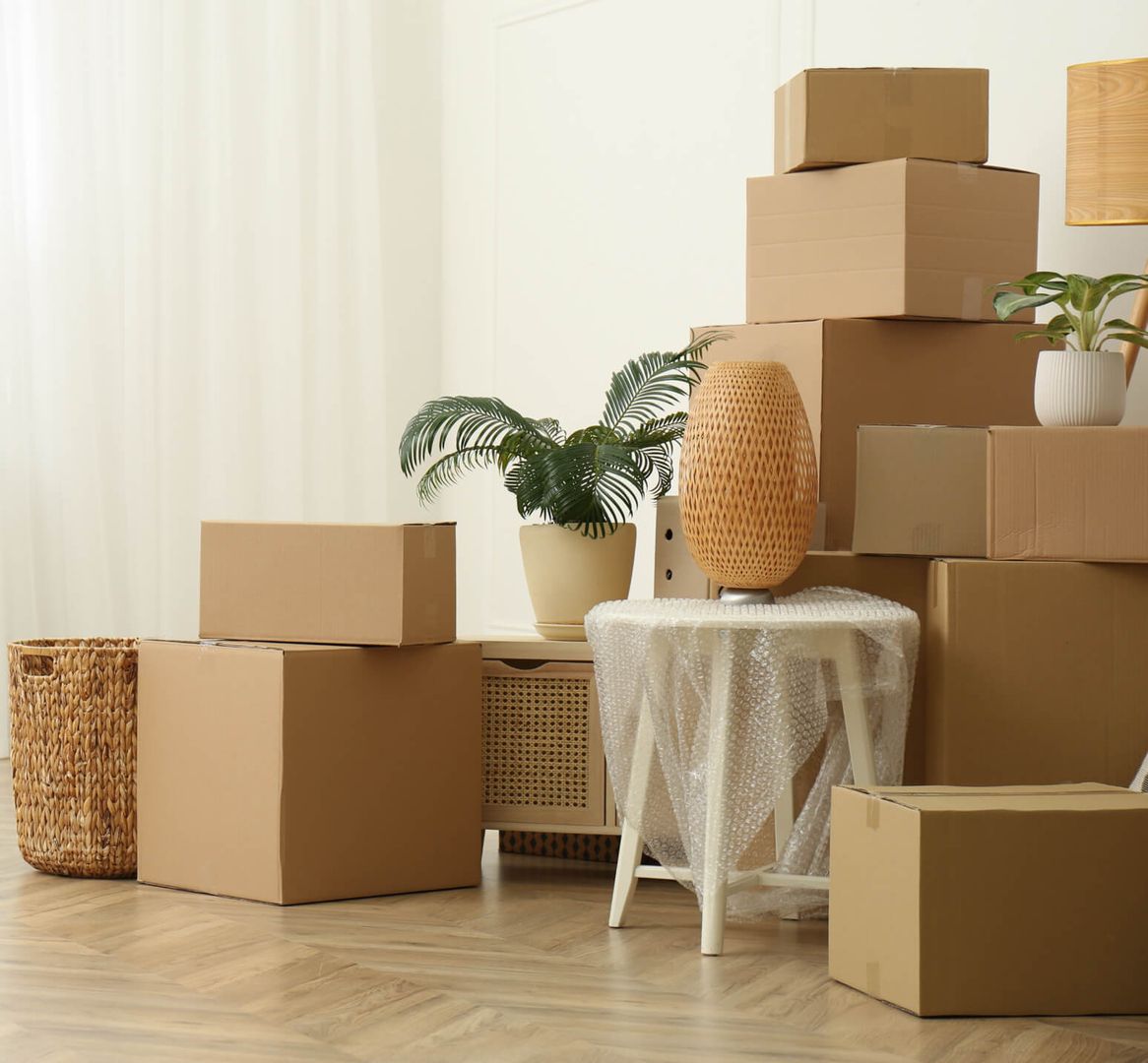 Ein Raum voller Kisten und Pflanzen.