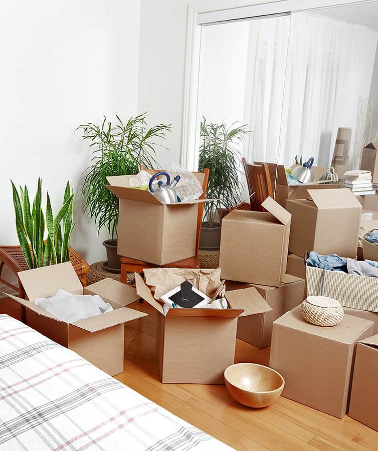 Ein Raum mit vielen Kisten und Pflanzen auf dem Boden.